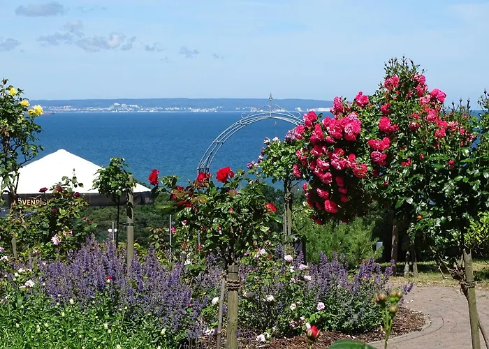 AKZENT Waldhotel Spa Rügen